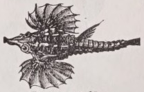 Pegasus