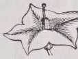 Rotate