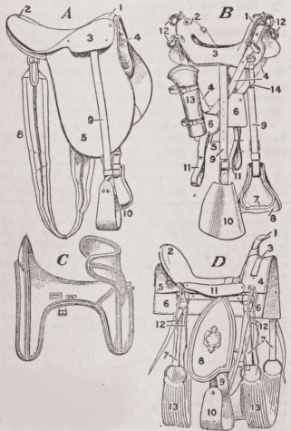 Saddle