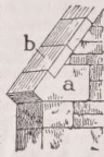 Skew