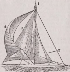Sloop