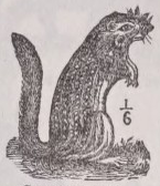 Spermophile