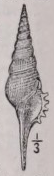 Spindle