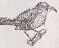 Thresher