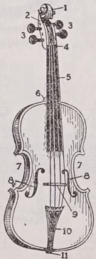 Violin