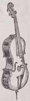 Violoncello